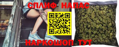 тгк Ставрополь