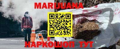 сатива Беслан