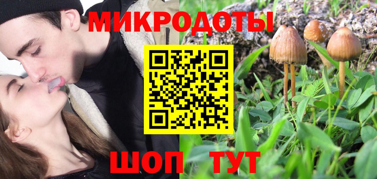 Галлюциногенные грибы Psilocybine cubensis Сорочинск